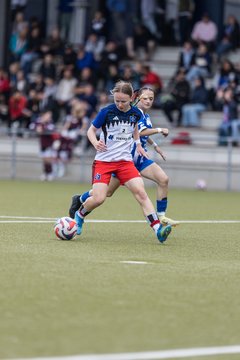 Bild 174 - wBJ Hamburger SV - FC Suederelbe : Ergebnis: 9:0